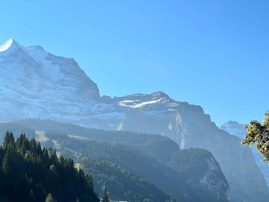 Wengen Apartment - Amazing Views, Centrally Located By Train Station Exteriör bild