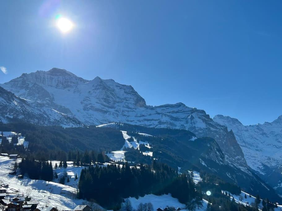 Wengen Apartment - Amazing Views, Centrally Located By Train Station Exteriör bild