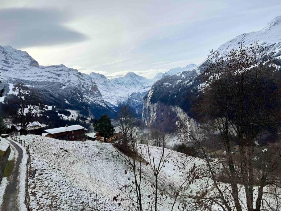 Wengen Apartment - Amazing Views, Centrally Located By Train Station Exteriör bild