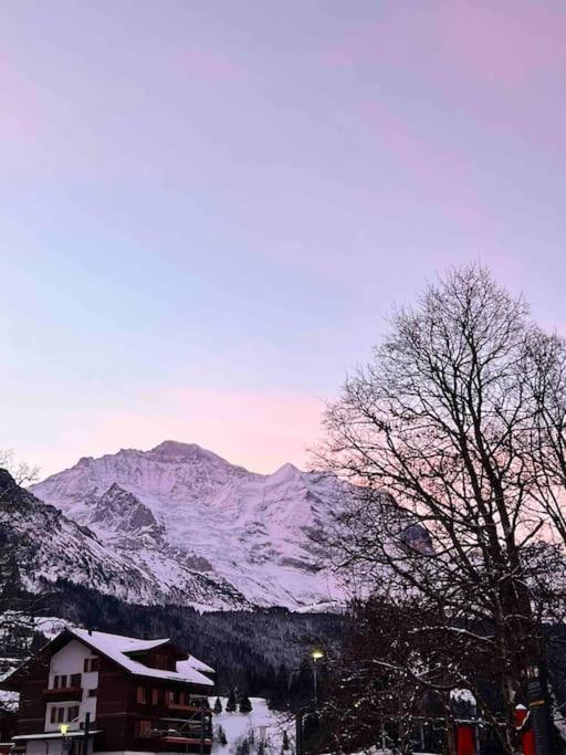 Wengen Apartment - Amazing Views, Centrally Located By Train Station Exteriör bild