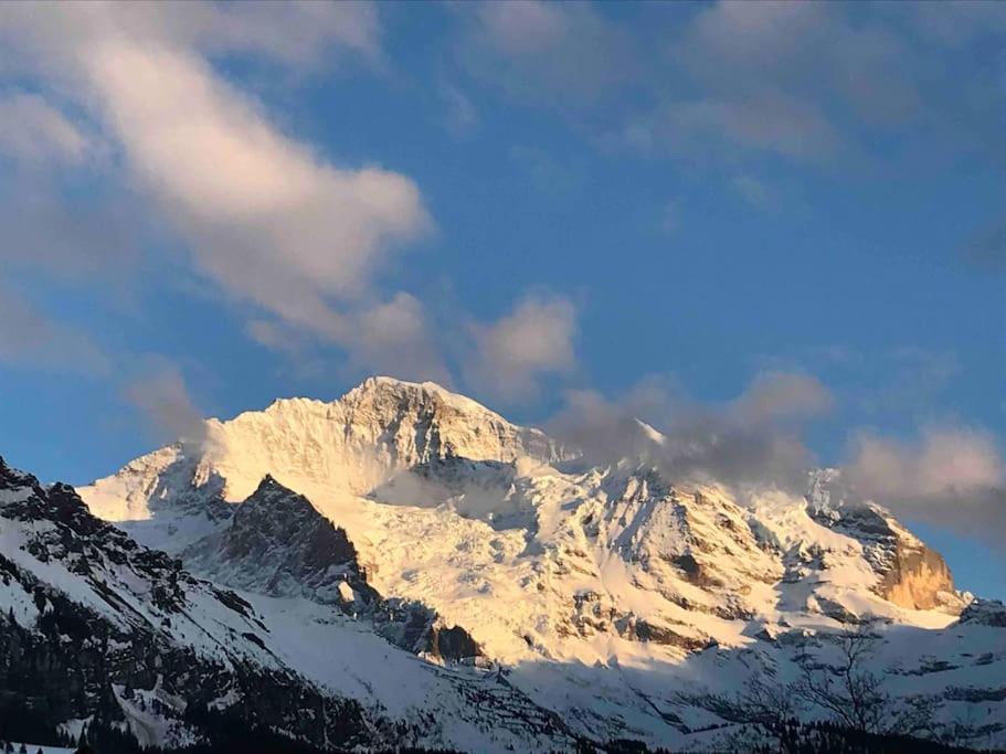 Wengen Apartment - Amazing Views, Centrally Located By Train Station Exteriör bild