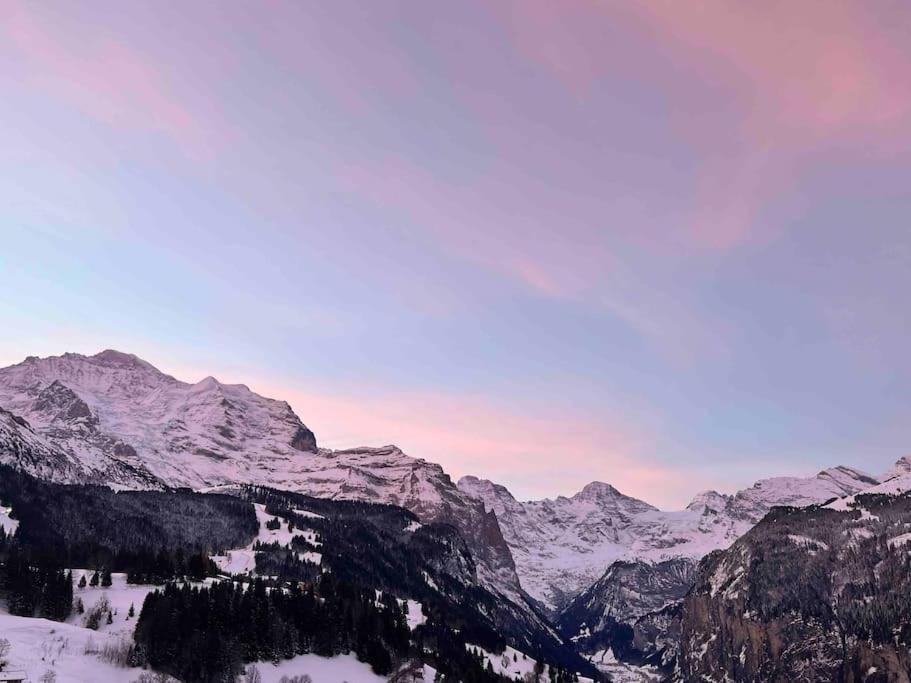 Wengen Apartment - Amazing Views, Centrally Located By Train Station Exteriör bild